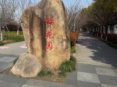 -高东镇樱花园
