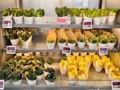 -海底捞大排档火锅(打浦路店)