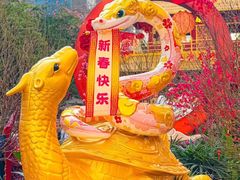 -越秀西湖花市(广州城市广场花卉店)
