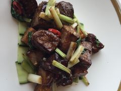 -金轩中餐厅 Jin Xuan(浦东丽思卡尔顿酒店)