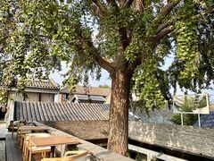 -自如ZSPACE四合院艺术餐厅