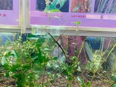 -上海昆虫博物馆