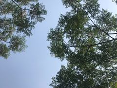 -盘龙城国家考古遗址公园