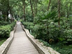 -北极阁公园