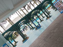 -海合安成都极地海洋公园
