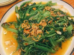 飞天空心菜-苏梅花园(群星城店)