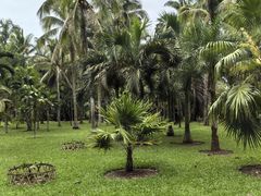 -中国科学院西双版纳热带植物园