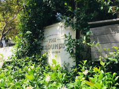 -The Grounds of Alexandria