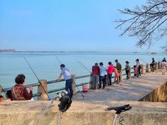 -南沙十九涌渔人码头-南门