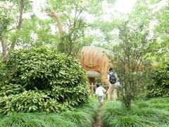 -上海海湾国家森林公园