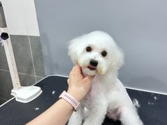 -1013 PET SHOP 宠物商店(近铁城市广场店)