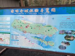 -东平国家森林公园