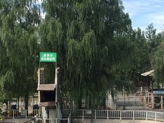 -北京鹿世界主题园