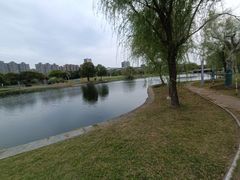 -同济大学(嘉定校区)