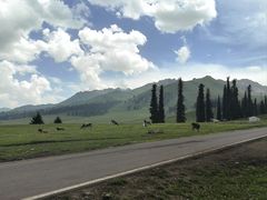 -新疆那拉提国家旅游度假区