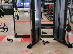 -金吉鸟健身游泳