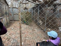 -长白岛森林公园