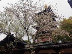 -寒山寺