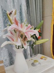 -佳美亲女性健康管理中心