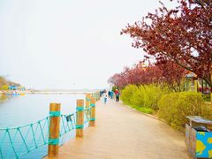 -大连老虎滩海洋公园