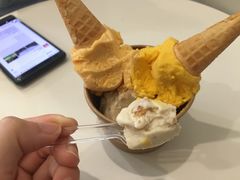 古港鸡仔饼雪糕-歎雪糕低糖低脂Gelato冰淇淋