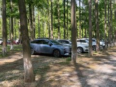 -黄海国家森林公园