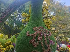 -杭州植物园