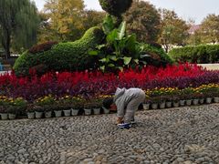 -石家庄市动物园