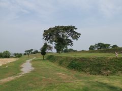 -盘龙城国家考古遗址公园