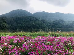 -广州市石门国家森林公园