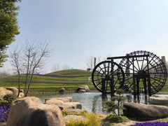 -南通洲际绿博园