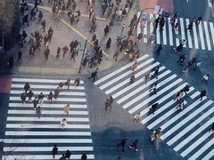 -涩谷区