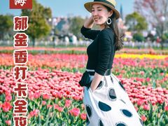 -荷兰花海