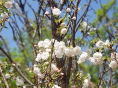 -观澜湖生态运动公社