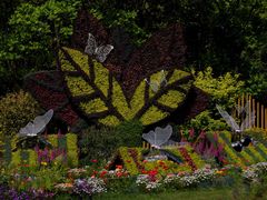 -上海共青森林公园