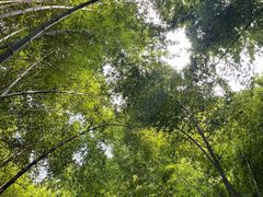 -敬亭山风景名胜区