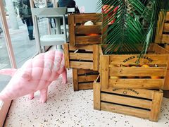 -WHEN PIGS FLY当猪飞