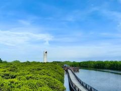 -东寨港红树林旅游区