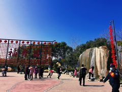 -合肥滨湖国家森林公园