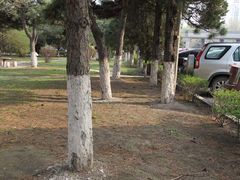 -辽宁大学(崇山校区)