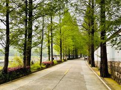 -会稽山峡洞漂流-上青古道