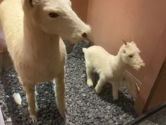 -桃园农庄烤全羊(江秋路店)