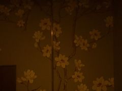 -花湖会所·高端水疗商务泡浴SPA(高新店)