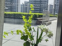 -凤凰湘语(浦东旗舰店)