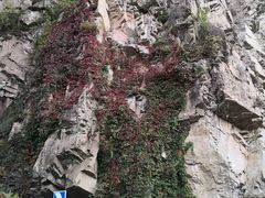 -百里山水画廊乌龙峡谷