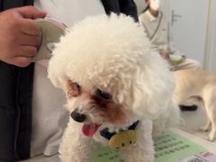 -美联众合动物医院·24h京西诊疗中心