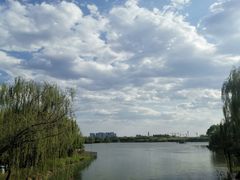 -大兴滨河森林公园