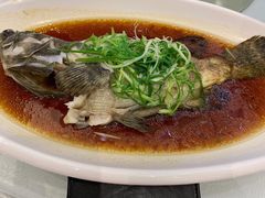 清蒸海石斑-金翠皇宫粤菜·点心·海鲜(科技园店)