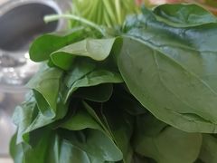 -清真马家美食城•海鲜•青岛菜•火锅(延安三路店)