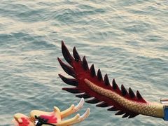 -金鸡湖游船(月光码头)